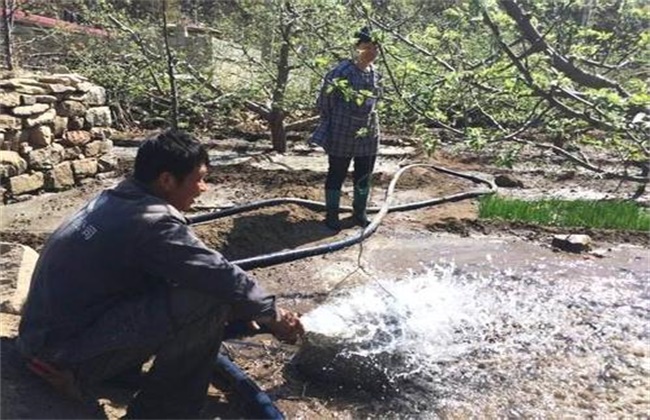 苹果树越冬防寒措施