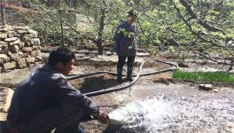 苹果树越冬防寒措施