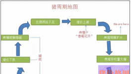 猪都在创造历史了 期货市场还在等什么