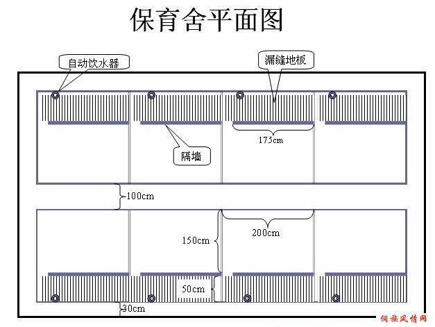 养猪场设计图,小型养猪场设计图,大养猪设计图库