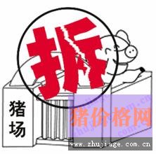 福建宁德市6月底前关闭拆除禁养区内生猪养殖场