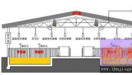 更科学、更环保的现代化养猪设备