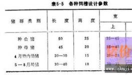 养猪必备的三种饲喂设备