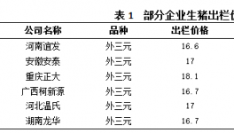 养猪市场迎来节前暴涨，气氛火热