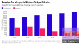 为对抗西方制裁，普京在俄罗斯掀起养猪潮