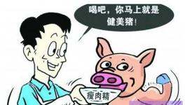 广东东莞生猪“瘦肉精”检测合格率99.99%