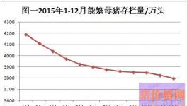 2015中国养猪业大战过剩产能 淘汰能繁母猪不是解决问题的根本之道