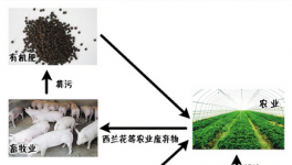 浙江新昌养猪场生态化 零排放高效益