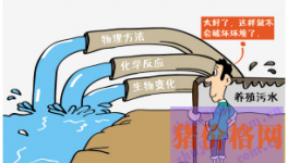 浙江：安吉养殖业污水处理的“N”种方式--畜禽污水变清流